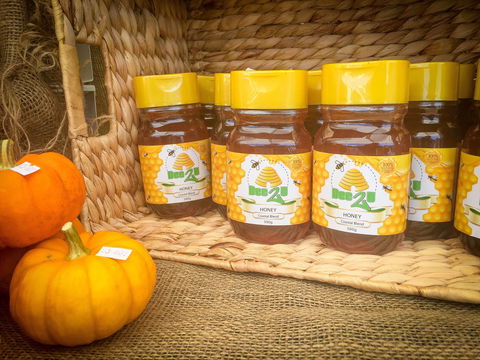 Greater Whitsunday Farmers Markets - Darwin Tourism 1