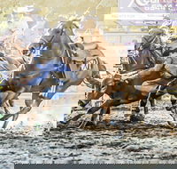 Gundagai Rodeo - Darwin Tourism
