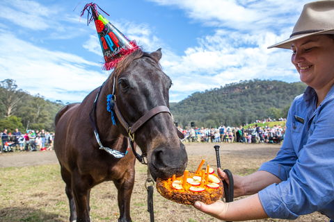 Horses Birthday Festival - Darwin Tourism 0