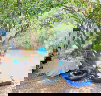 Jungle Love Festival - Darwin Tourism