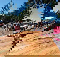 Maleny Wood Expo From Seed to Fine Furniture - Darwin Tourism