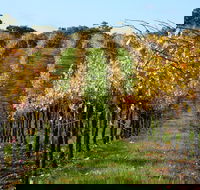 Miners Ridge Wine Tasting - Darwin Tourism