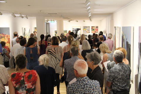 'Redland Art Awards 2020' Exhibition Opening - Darwin Tourism 0