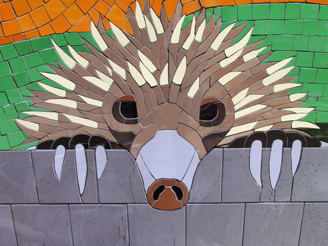 SALA 2020 - Colour Our World - Darwin Tourism 0