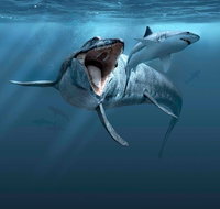 Sea Monsters - Prehistoric Ocean Predators - Darwin Tourism