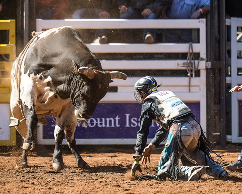 The 2020 Virtual Mount Isa Mines Rodeo - Darwin Tourism 2