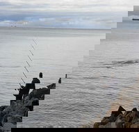 Whale Watching in Portland - Darwin Tourism