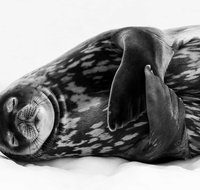 Wildlife Photographer of the Year - Darwin Tourism