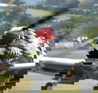 Wings Over Illawarra - Darwin Tourism