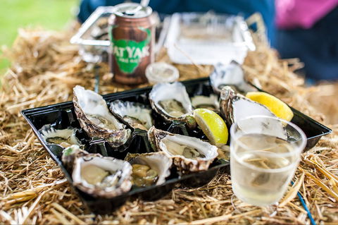 Narooma Oyster Festival - Darwin Tourism 1