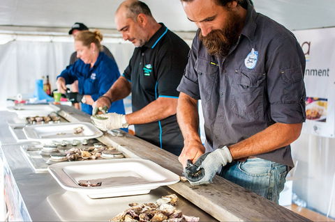 Narooma Oyster Festival - Darwin Tourism 2