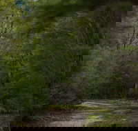 Yering Gorge Cottages - Darwin Tourism