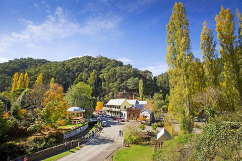 Walhalla's Star Hotel - Darwin Tourism 2