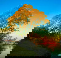 Cadell on the Murray Motel Resort - Darwin Tourism