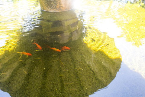 Iluka Motel - Darwin Tourism 7