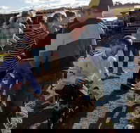 Hunter Valley Resort - Darwin Tourism