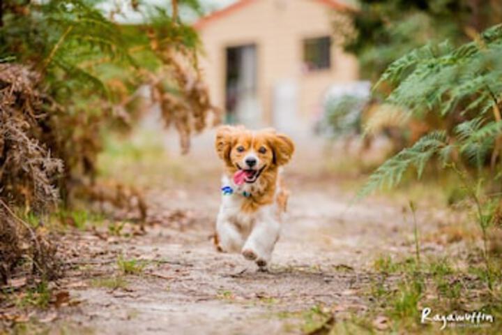 Bambra VIC Darwin Tourism