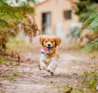 Countrywide Cottages - Darwin Tourism