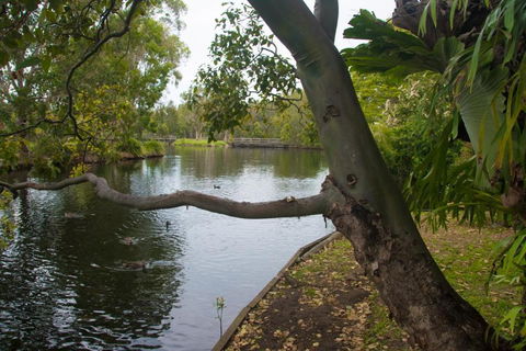 Northlakes Studio - Darwin Tourism 4