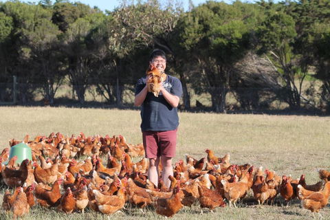 Bimbadeen Phillip Island Farm Retreats - Darwin Tourism 4