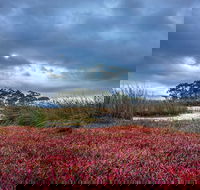 Saintys Creek Cottage - Darwin Tourism