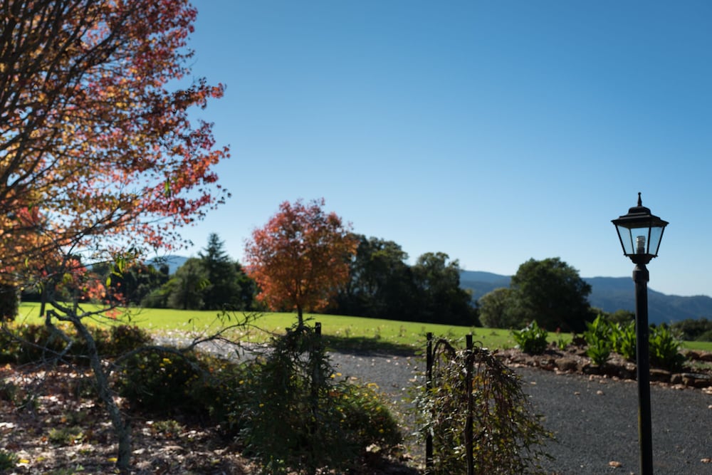 Clouds Creek NSW Darwin Tourism
