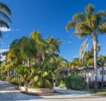 Mollymook Caravan Park - Darwin Tourism