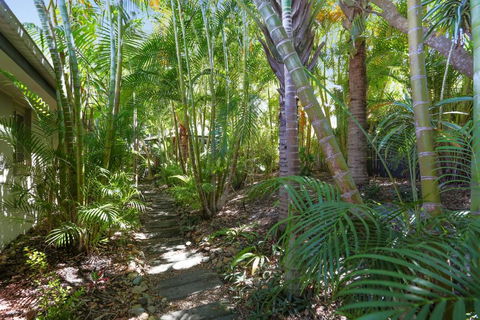 Palm Trees Noosa - Darwin Tourism 6