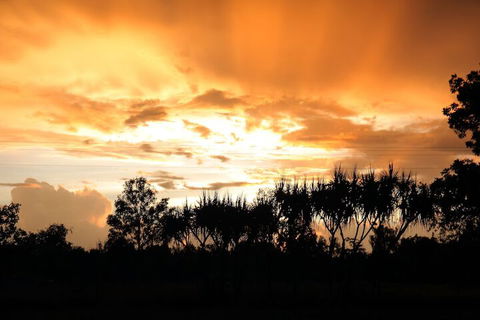 Berry Creek Bush Retreat - Darwin Tourism 3