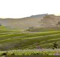 Ketchup's Bank Glamping - Darwin Tourism