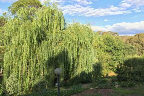 Stoney Creek Retreat - Darwin Tourism 6