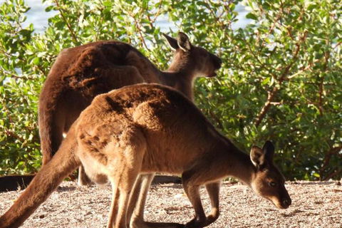Ratcliff Cottage - Darwin Tourism 5