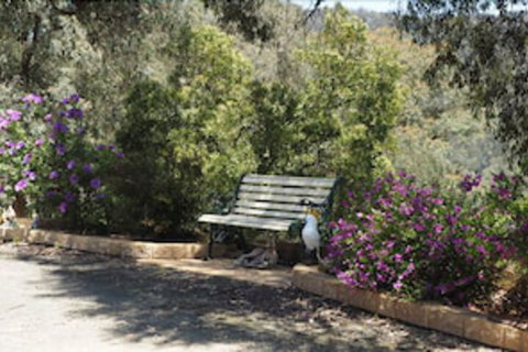 Wild Cherry Bed & Breakfast - Darwin Tourism 3