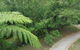 Paddys Creek Retreat - thumb 4