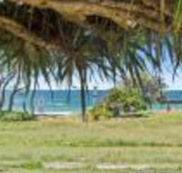 Pandanus on Emerald - Darwin Tourism