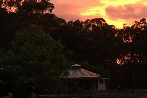 Ionaforest Yurt & Shepherds Hut - Darwin Tourism 4