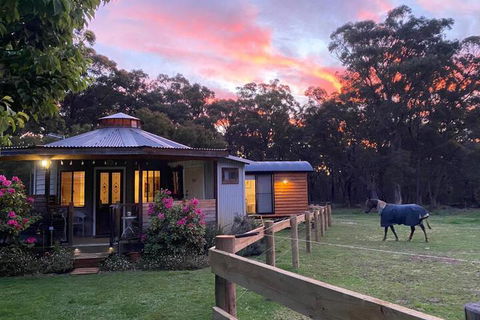 Ionaforest Yurt & Shepherds Hut - Darwin Tourism 3