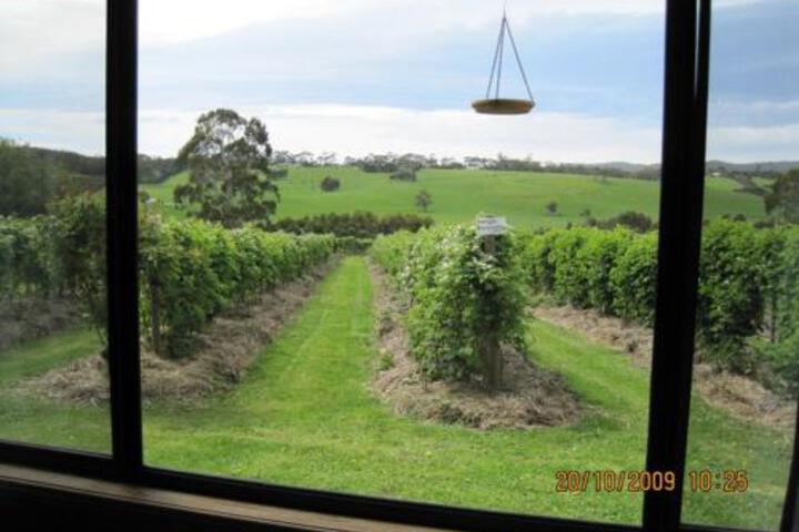 Murroon VIC Darwin Tourism