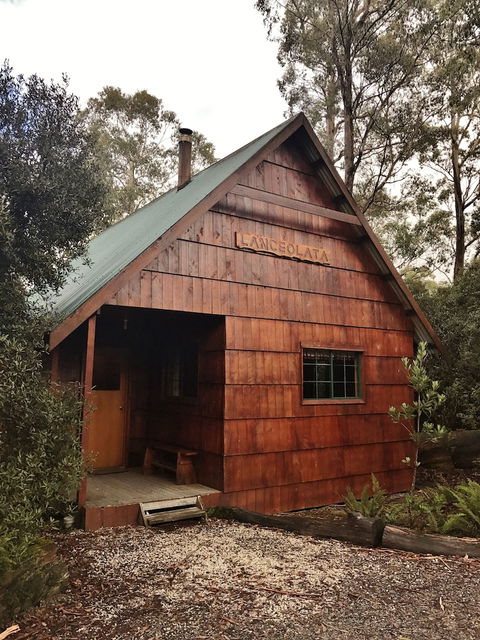 Cradle Mountain Highlanders Cottages - Darwin Tourism 4