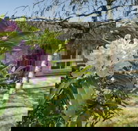 Wentworth Rose - Darwin Tourism