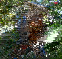 Rain Forest Gem - Darwin Tourism