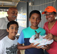 Holiday Haven Burrill Lake - Darwin Tourism