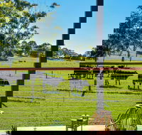 Curra Homestead Maleny - Darwin Tourism