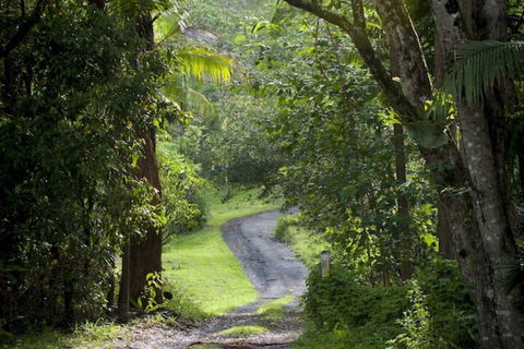 Nimbin Waterfall Retreat - Darwin Tourism 1