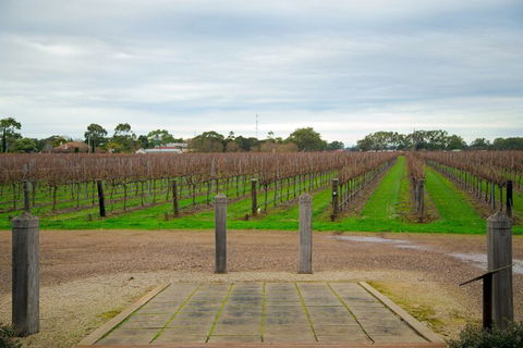 Yalumba Menzies Retreat - Darwin Tourism 4