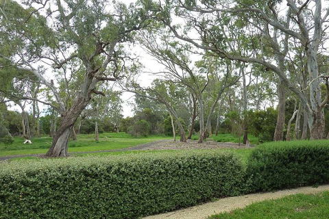 Yalumba Menzies Retreat - Darwin Tourism 2