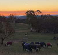 High Country Trail Rides  Farm Stay - Darwin Tourism