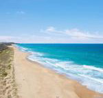 Jimmys Shout Pet Friendly - Darwin Tourism