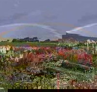 Boat Harbour Garden Cottages - Darwin Tourism