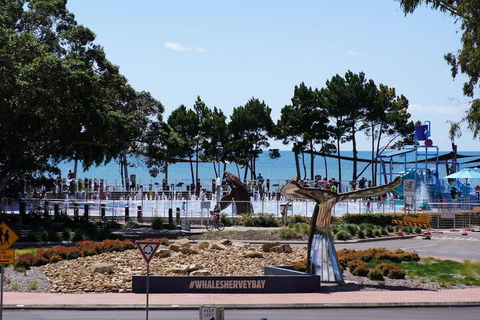 Beachside Motor Inn - Darwin Tourism 3